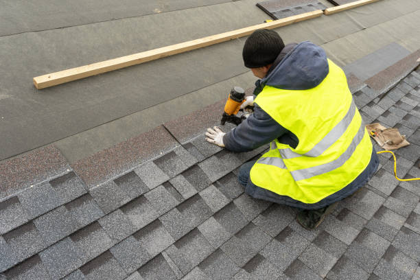Best Roof Coating and Sealing  in Osseo, MN
